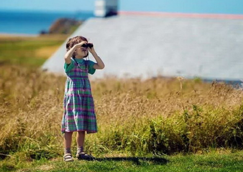 2024年属牛女孩取名 2024年属牛女孩取名大全