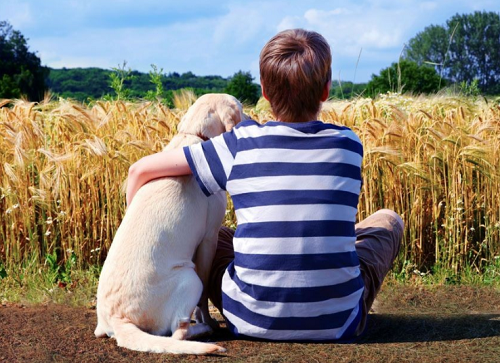 2024年属牛男孩名字最佳用字 2024年属牛男孩名字最佳用字大全