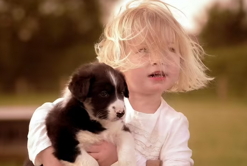 姓刘的女孩宝宝名字大全2024蛇 姓刘的女孩宝宝名字大全2024年属蛇