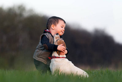 男孩名字大全2024最新版的属蛇 男孩名字大全2024最新版的属蛇免费