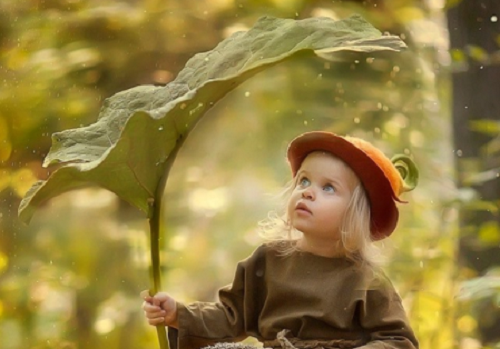 姓刘的女孩宝宝名字大全2024鸡 姓刘的女孩宝宝名字大全2024年属鸡