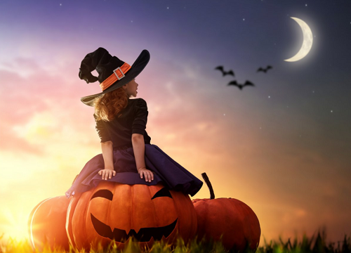 2024年属鸡女孩取名 2024年属鸡女孩取名大全