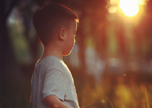 2024年鸡宝宝男孩名字免费 2024年鸡宝宝男孩名字大全取名