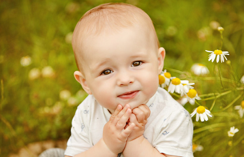 属猪的男孩取什么名字最好 取名字大全免费2024属猪的男孩子