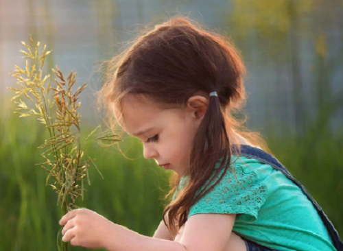 刘姓猪宝宝取名大全2024款 刘姓猪宝宝取名大全2024款免费