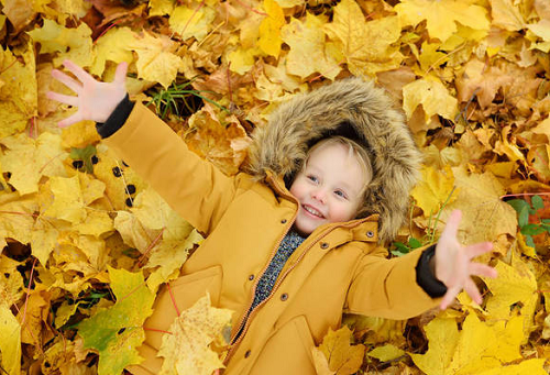 2024猪宝宝最火乳名男孩 2024猪宝宝最火乳名免费