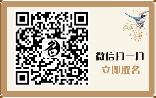 菲字取名寓意什么女孩_飒字名含义解析_飒字取名寓意